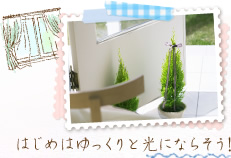 はじめはゆっくりと光にならそう!