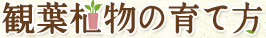 観葉植物の育て方