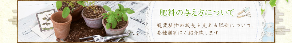 肥料の与え方について 観葉植物の成長を支える肥料について、各種類別にご紹介致します