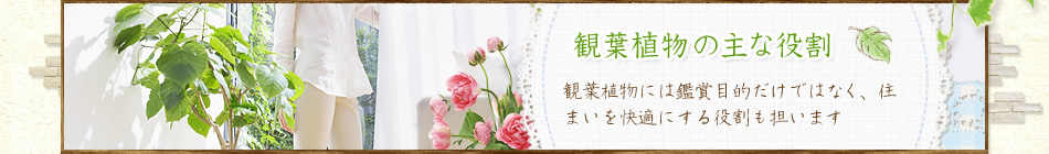 観葉植物の主な役割 観葉植物には鑑賞目的だけではなく、住まいを快適にする役割も担います