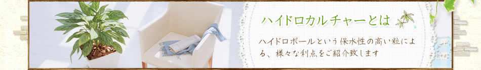ハイドロカルチャーとは ハイドロボールという保水性の高い粒による、様々な利点をご紹介致します